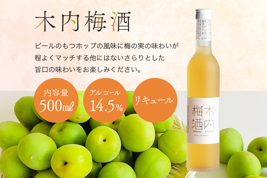 木内梅酒・梅果実酒・柚子ワイン3本セット 木内梅酒 3本セット 500ml×3本 日本一に輝く極上梅酒 梅から造った梅ワイン 甘酸っぱい柚子ワイン ギフトセット 果実酒 ウメ 人気 お土産 ギフト ご褒美 国産 ユズ フルーツ 柑橘 家飲み 宅飲み 梅 Z-4