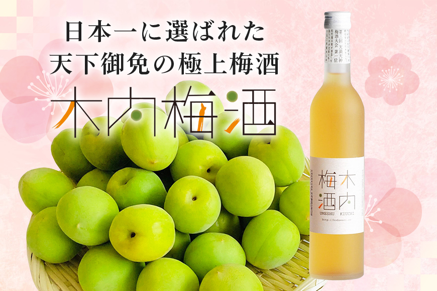 木内梅酒 3本セット 500ml×3本 果実酒 ウメ 人気 お土産 ギフト フルーティー 内祝い ご褒美 国産 紀州南高梅使用 お歳暮 お歳暮ギフト プレゼント お中元 敬老の日 御歳暮 うめ酒 梅酒 酒 アルコール 家飲み 宅飲み 梅 常温 常温保存 Z-7