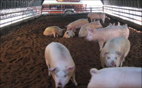 美明豚 しゃぶしゃぶ食べ比べセット 1.8kg ブランド豚 銘柄豚 国産 最高級 豚肉 肉 冷凍 ギフト 贈り物 お祝い ご自宅用 贈答用 焼肉 茨城県共通返礼品・行方市産