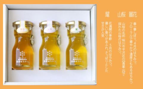 数量限定 山桜はちみつと春の田舎はちみつの3種ギフトセット 結蜜 Musubi-R3山桜 茨城県共通返礼品 生ハチミツ 非加熱 はちみつ 蜂蜜 無添加 天然 食べ比べ 各120g フレッシュチーズ プレーンヨーグルト そのままひと匙 トースト 紅茶 パンケーキ