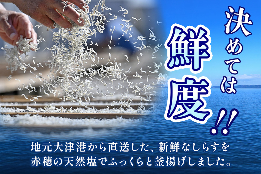 大津港水揚げの釜揚げしらす 500g（茨城県共通返礼品・北茨城市産） A78-005