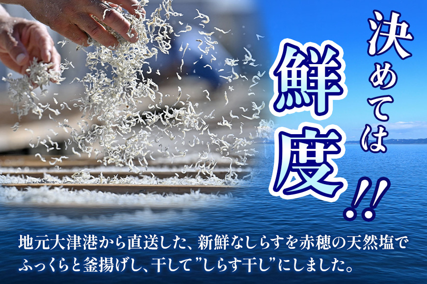 大津港水揚げのしらす干し 1kg[500g×2箱]（茨城県共通返礼品・北茨城市産） A78-009