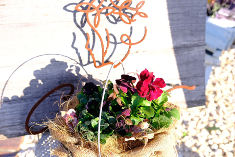 季節の寄せ植え 3回定期便 かわいい 寄せ植え 季節 彩 ガーデニング 栽培 園芸 花苗3株以上 鉢直径約30cm バスケット 玄関 花飾り プレゼント ギフト 鉢花 花苗 季節の寄せ植え ベランダ お花 フラワーギフト お祝い お礼 おしゃれ モダン