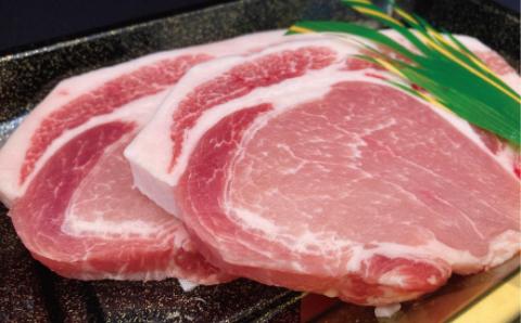 美明豚 ロース とんかつ・ソテー用 700g 140g×5枚 ブランド豚 銘柄豚 国産 最高級 豚肉 肉 冷凍 ギフト 贈り物 お祝い ご自宅用 贈答用 焼肉 茨城県共通返礼品