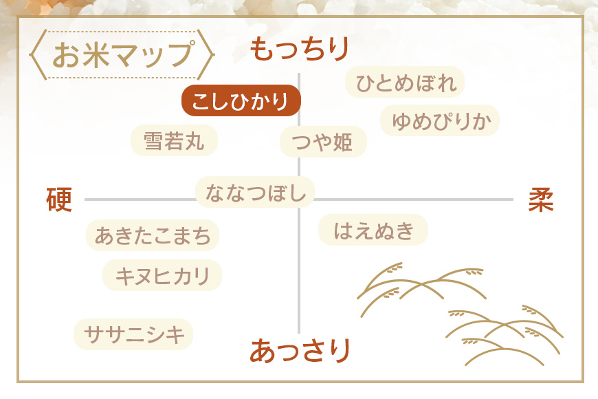 令和7年度産 みねしまふぁーむ 常陸牛農家が育てるコシヒカリ 15kg コシヒカリ 低農薬 低化学肥料 米 発送直前に精米 精米 コシヒカリ米 茨城県産 白米 お米 コメ おこめ こめ こしひかり 有機 ブランド 健康 ギフト 贈り物