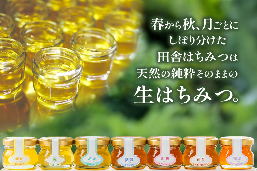 季節で移ろう田舎はちみつ7種ぷちギフトセット 結蜜 Musubi-S7 茨城県共通返礼品 五霞町生ハチミツ 非加熱 茨城県産