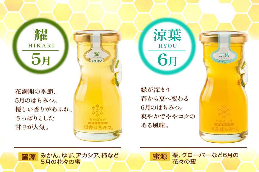 季節で移ろう田舎はちみつ7種ギフトセット 結蜜 Musubi-R7 茨城県共通返礼品 五霞町生ハチミツ 非加熱 茨城県産