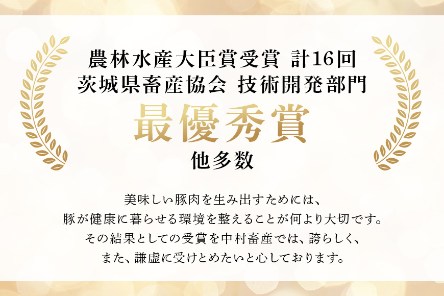 美明豚 切り落とし 2.2kg 1パック550g×4パック 真空パック 茨城県共通返礼品 行方市産 びめいとん ビメイトン ブランド豚 銘柄豚 豚 豚肉 肉 茨城県産 国産 冷凍 美明豚 茨城 焼肉 BBQ