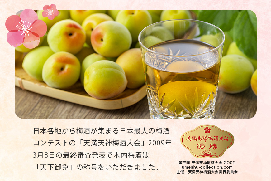 木内梅酒 3本セット 500ml×3本 果実酒 ウメ 人気 お土産 ギフト フルーティー 内祝い ご褒美 国産 紀州南高梅使用 お歳暮 お歳暮ギフト プレゼント お中元 敬老の日 御歳暮 うめ酒 梅酒 酒 アルコール 家飲み 宅飲み 梅 常温 常温保存 Z-7