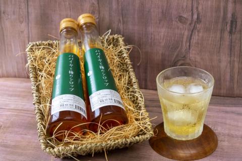 パパイヤと梅のシロップ 那珂パパイヤ 有機栽培 サンパパイヤ 栄養豊富 安心 安全 添加物不使用 ギフト 贈答 プレゼント ウメ ジュース ドリンク 200ml×2本 ノンアルコール クエン酸補給