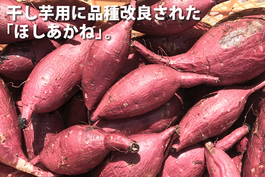 【京阪百貨店厳選】茨城県産ほしあかね丸干し 1kg 干し芋 ほしいいも 芋 さつま芋 サツマイモ さつまいも 干しいも B18-016