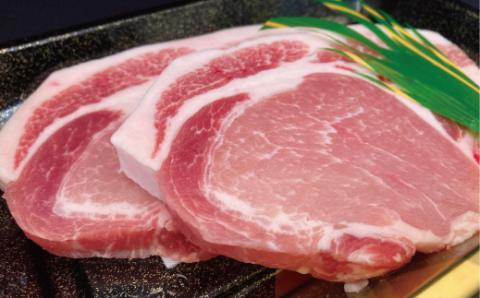 ステーキセット 常陸牛900g・美明豚420g 銘柄牛 きめ細い 柔らかい 豊かな風味 黒毛和牛 A4ランク A5ランク ブランド牛 茨城 国産 黒毛和牛 霜降り 牛肉 冷凍 ギフト 内祝い 誕生日 お中元 贈り物 お祝い 焼肉 茨城県共通返礼品