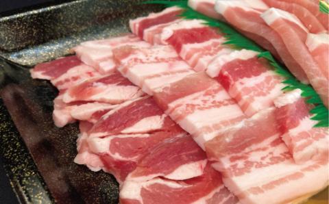 ステーキ焼肉セット 常陸牛ステーキ600g・美明豚焼肉用400g 銘柄牛 きめ細い 柔らかい 豊かな風味 黒毛和牛 A4ランク A5ランク ブランド牛 ブランド豚 銘柄豚 茨城 国産 黒毛和牛 霜降り 牛肉 冷凍 贈り物 お祝い 焼肉 茨城県共通返礼品