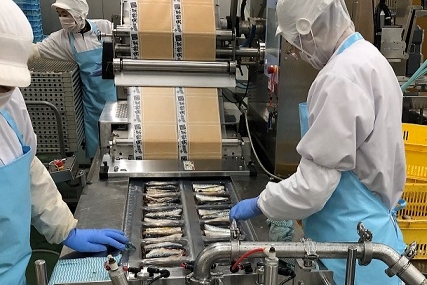 3ヶ月定期便 大トロさば文化干し 6枚×3回 茨城県共通返礼品 神栖市産 干物 大トロ さば文化干し サバ 鯖 干物セット 自宅用 おかず さば 文化干し 冷凍 特選 魚 海鮮 新鮮 美味しい おいしい 和食 おつまみ 青魚 DHA 抗酸化 健康