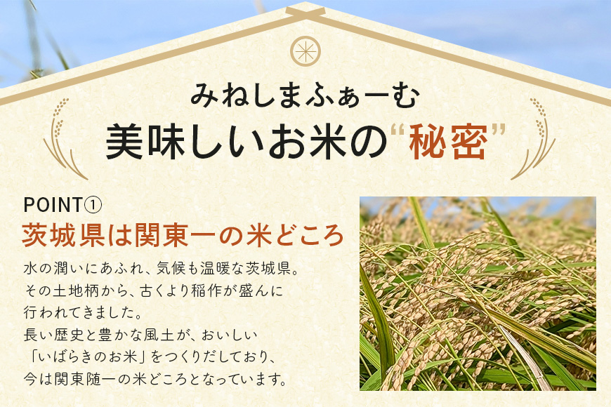 令和7年度産 みねしまふぁーむ 常陸牛農家が育てるコシヒカリ 15kg コシヒカリ 低農薬 低化学肥料 米 発送直前に精米 精米 コシヒカリ米 茨城県産 白米 お米 コメ おこめ こめ こしひかり 有機 ブランド 健康 ギフト 贈り物