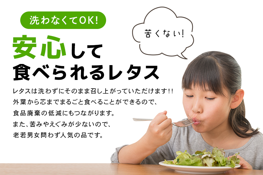リーフレタスセット 約2Kg 那珂市産 新鮮 レタス リーフレタス フリルレタス グリーンリーフ 無農薬 野菜 栽培期間中農薬不使用 詰め合わせ セット 水耕栽培 LED 栽培 ベジタブル 副菜 常備菜 サラダ ヴィーガン ヘルシー