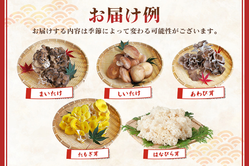 きのこの詰め合わせ Mサイズ 1.5Kg 茨城県共通返礼品 城里町産 舞茸 椎茸 あわび茸 たもぎ茸 はなびら茸 完全室内栽培 栽培期間中農薬不使用 安心 安全 栄養豊富 こだわりのキノコ詰め合わせ 直送 新鮮 旬 おすすめ セット 贈り物