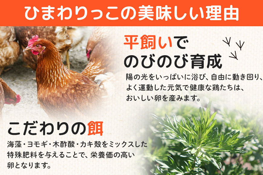 平飼いたまご ひまわりっこ 24個 (22個＋割れ補償2個) 1箱 卵 鶏卵 高品質 贈答 お歳暮 那珂市 国産 高級 安心 平飼い たまご 玉子 無選別 コク旨 濃厚 黄身 白身 地鶏 たまごかけごはんにぴったり