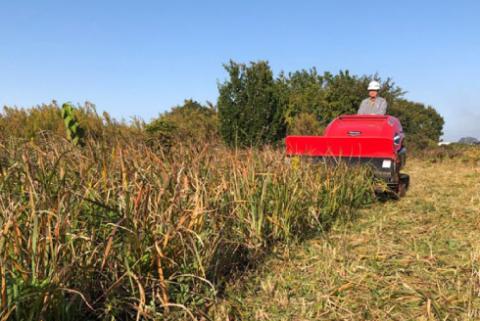 畑の除草サービスチケット トラクター耕起作業 那珂市限定