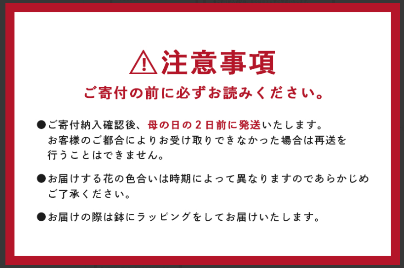 カーネーション ピンク系 母の日への贈り物 プレゼント ギフト カーネーション 花 アレンジ 鉢植え 5号 鉢 国産 花鉢 鉢花 フラワーアレンジメント 母の日ギフト フラワーギフト お祝い 母の日
