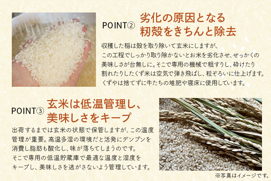 令和7年度産 みねしまふぁーむ 常陸牛農家が育てるコシヒカリ 15kg コシヒカリ 低農薬 低化学肥料 米 発送直前に精米 精米 コシヒカリ米 茨城県産 白米 お米 コメ おこめ こめ こしひかり 有機 ブランド 健康 ギフト 贈り物