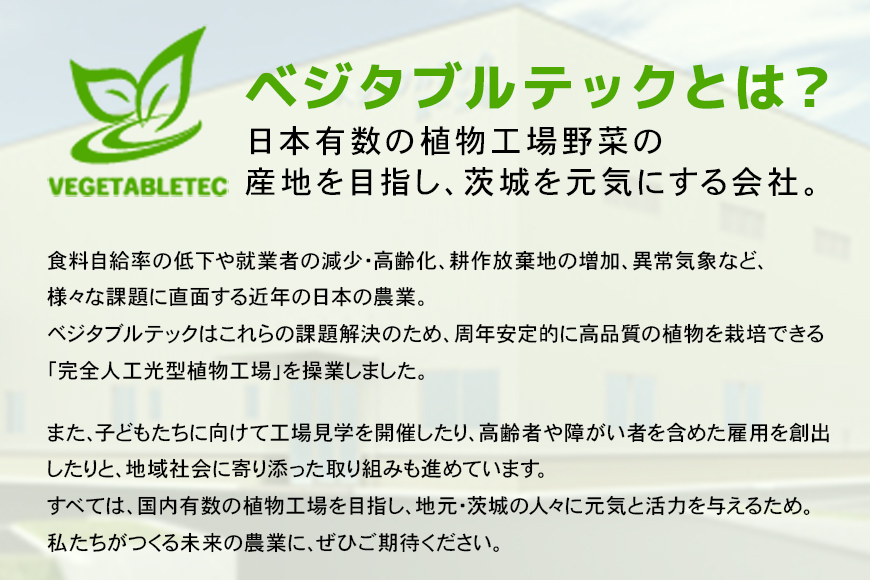 リーフレタスセット 約2Kg 那珂市産 新鮮 レタス リーフレタス フリルレタス グリーンリーフ 無農薬 野菜 栽培期間中農薬不使用 詰め合わせ セット 水耕栽培 LED 栽培 ベジタブル 副菜 常備菜 サラダ ヴィーガン ヘルシー