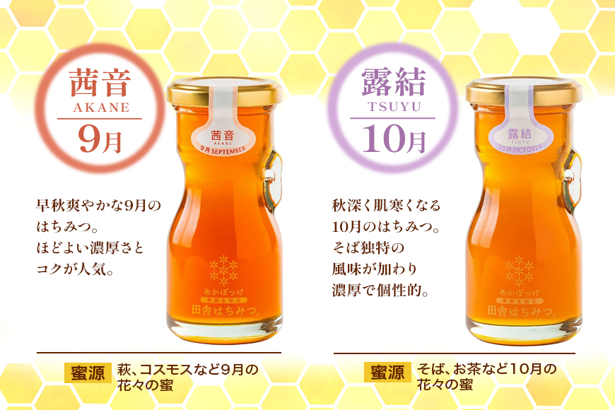 季節で移ろう田舎はちみつ7種ギフトセット 結蜜 Musubi-R7 茨城県共通返礼品 五霞町生ハチミツ 非加熱 茨城県産