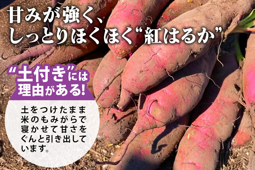 ねっとり甘々！茨城県名産べにはるか干し芋詰め合わせ（平干し、丸干し、切り落とし各400g）
