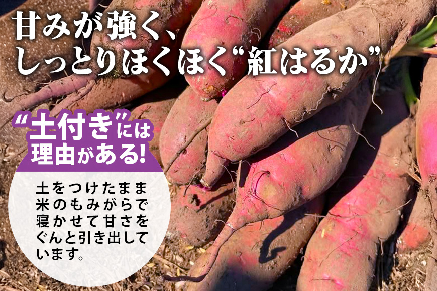ねっとり甘々！茨城県名産べにはるか平干し芋1kg