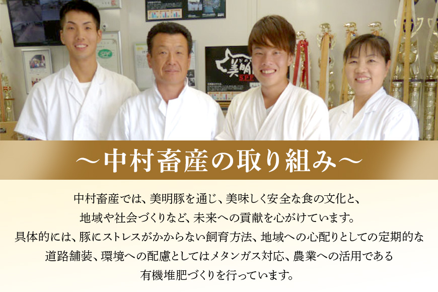 美明豚 バラスライス 1.4kg 茨城県共通返礼品 行方市産 びめいとん ビメイトン ブランド豚 銘柄豚 豚 豚肉 肉 茨城県産 国産 冷凍 豚バラ 美明豚 ぶたばら スライス 豚バラ肉 茨城 焼肉 BBQ