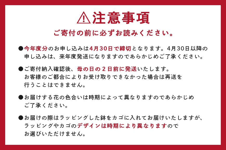 カーネーション 黄色系 母の日への贈り物 プレゼント ギフト カーネーション 花 アレンジ 鉢植え 5号 鉢 国産 花鉢 鉢花 フラワーアレンジメント 母の日ギフト フラワーギフト お祝い 母の日
