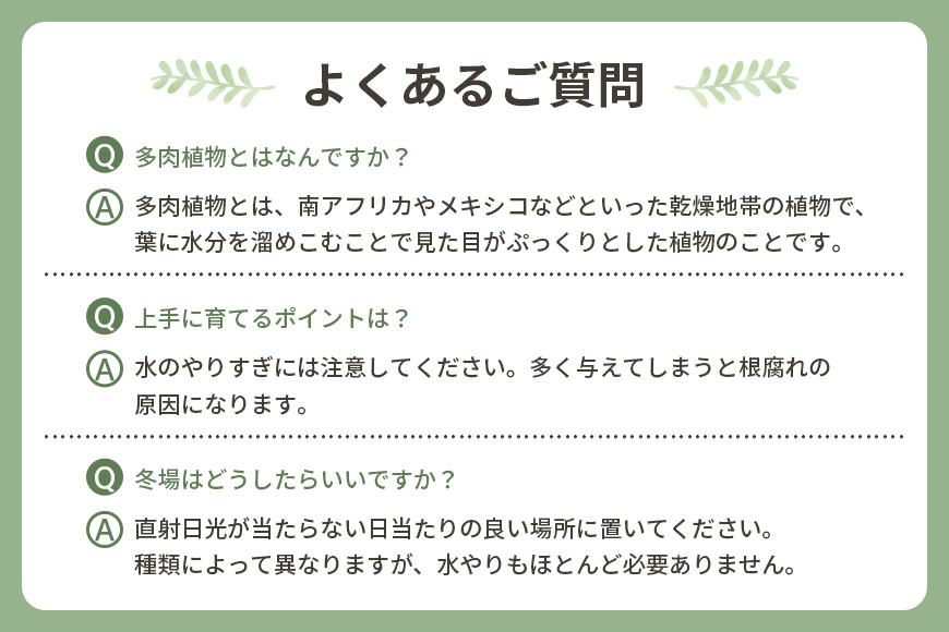 可愛い多肉植物の寄せ植えリース23cm 多肉植物 観葉植物 インテリア 寄せ植え 誕生日プレゼント オシャレ 多肉 観葉 リース 植物 苗 種類 農園直送 栽培 ガーデニング 寄せ植え用 多肉専科
