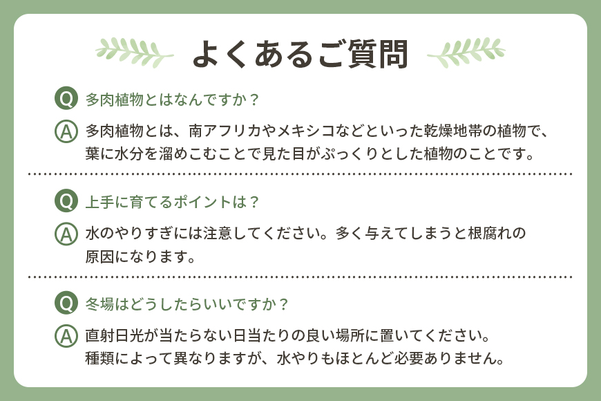 可愛いリース23cm多肉植物寄せ植え体験