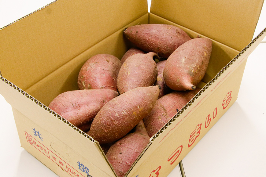 【京阪百貨店厳選】茨城県産ほしあかね 10kg [A品L～2Lサイズ] 芋 さつま芋 サツマイモ さつまいも B18-010