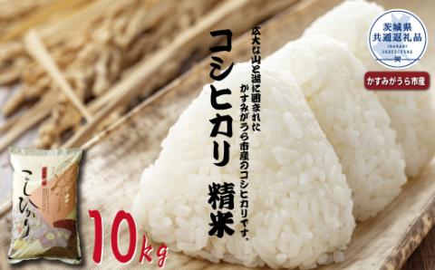 コシヒカリ　精米10kg（茨城県共通返礼品・かすみがうら市産）