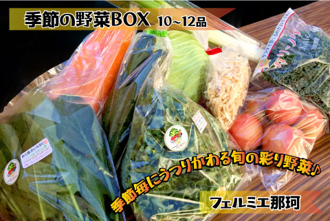 フェルミエ 野菜BOX10?12品 新鮮野菜 詰め合わせ 那珂市産 茨城県産 国産 旬野菜 セット 新鮮 野菜セット 野菜 野菜BOX 旬 厳選 食材 産地直送 お取り寄せ グルメ 季節 野菜詰合わせ おまかせ