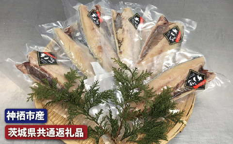 大トロさば文化干し 6枚 茨城県共通返礼品 神栖市産 干物 大トロ さば文化干し サバ 鯖 干物セット 自宅用 おかず さば 文化干し 冷凍 特選 魚 海鮮 新鮮 美味しい おいしい 和食 おつまみ 青魚 DHA 抗酸化 健康