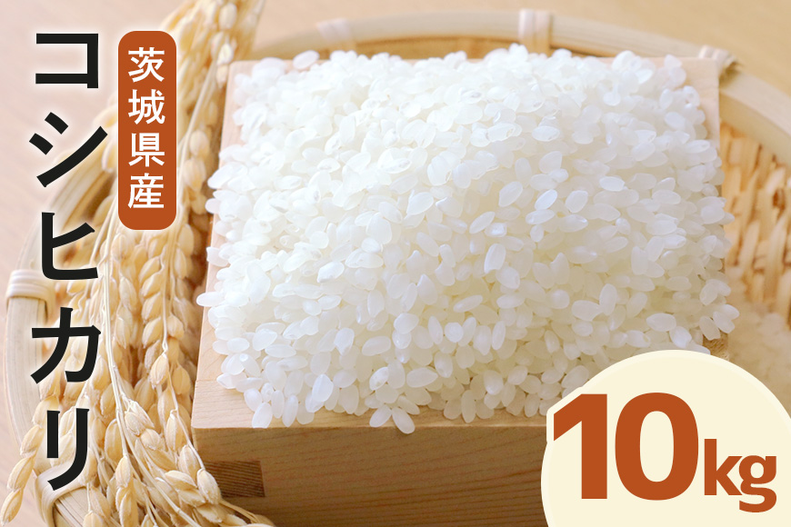 令和7年度産 常陸牛農家が育てるコシヒカリ 10kg 米 お米 白米 こめ 精米 取り寄せ 特産 ごはん ご飯 コメ お取り寄せ ギフト 贈り物 お弁当 弁当 おにぎり ふっくら ツヤツヤ 甘い 農家直送 産地直送 国産 茨城県産