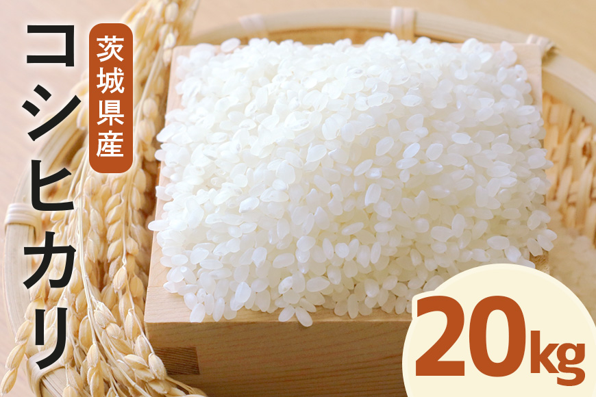 令和7年度産 常陸牛農家が育てるコシヒカリ 20kg 米 お米 白米 こめ 精米 取り寄せ 特産 ごはん ご飯 コメ お取り寄せ ギフト 贈り物 お弁当 弁当 おにぎり ふっくら ツヤツヤ 甘い 農家直送 産地直送 国産 茨城県産