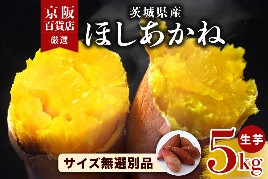 【京阪百貨店厳選】茨城県産ほしあかね 5kg [サイズ無選別品] 芋 さつま芋 サツマイモ さつまいも B18-011