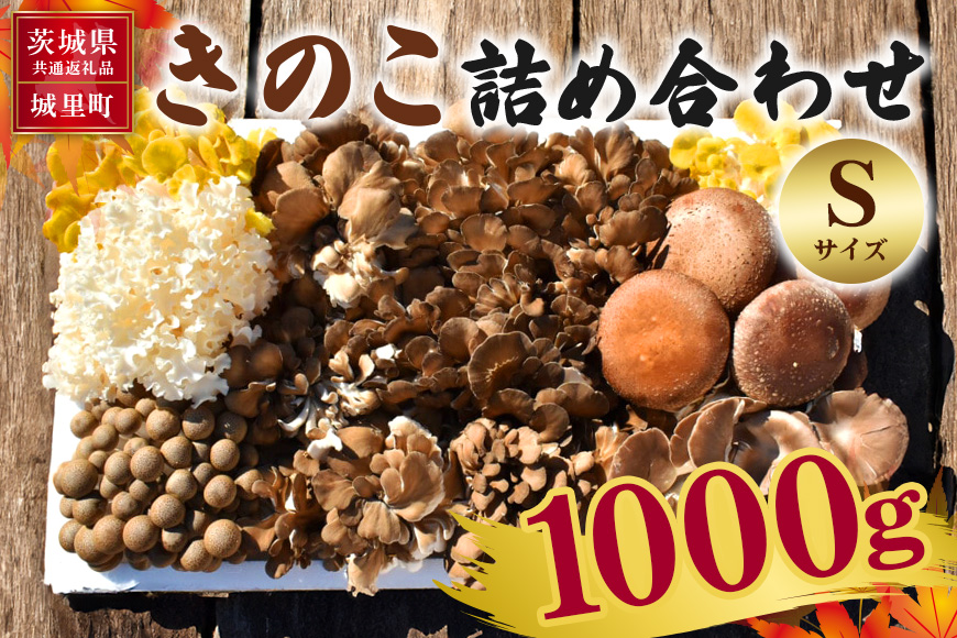 きのこの詰め合わせ Sサイズ 1Kg 茨城県共通返礼品 城里町産 舞茸 椎茸 あわび茸 たもぎ茸 はなびら茸 完全室内栽培 栽培期間中農薬不使用 安心 安全 栄養豊富 こだわりのキノコ詰め合わせ 直送 新鮮 旬 おすすめ セット 贈り物