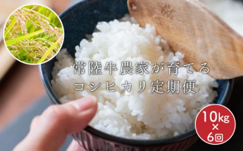 定期便 常陸牛農家が育てるコシヒカリ 10kg×6回 令和7年度産 米 お米 白米 こめ 精米 取り寄せ 特産 ごはん ご飯 コメ お取り寄せ ギフト 贈り物 お弁当 弁当 おにぎり ふっくら ツヤツヤ 甘い 農家直送 産地直送 国産 茨城県産