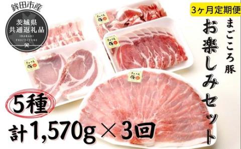 3ヶ月定期便 まごころ豚 1570g×3回 お楽しみセット ブランド豚 銘柄豚 茨城県 鉾田市産 5種類 茨城県産 国産 最高級 セット モモ 肩ロース バラ肉 ロース厚切り肉 コマ肉 総重量 しゃぶしゃぶ 生姜焼き 焼肉 モモ肉 ロース厚切り
