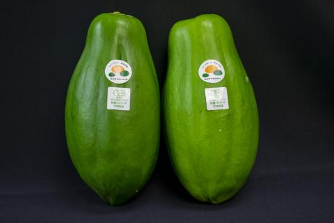 サンパパイヤ パパイヤ 青果 食物繊維 パパイン酵素 ミネラル ビタミン 葉酸 ポリフェノール スーパーフード 酵素の王様 パパイヤ フルーツ 果物 しりしり 冷凍 サラダ おかず 和え物 炒め物