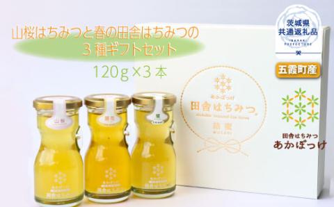数量限定 山桜はちみつと春の田舎はちみつの3種ギフトセット 結蜜 Musubi-R3山桜 茨城県共通返礼品 生ハチミツ 非加熱 はちみつ 蜂蜜 無添加 天然 食べ比べ 各120g フレッシュチーズ プレーンヨーグルト そのままひと匙 トースト 紅茶 パンケーキ