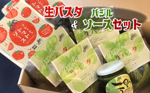 生パスタ（バジル）＆ソース＆バジルぺーストセット バジルを練りこんだパスタ フレッシュトマトソース 芳野バジルペースト セット 計800g パスタソース 冷蔵配送 ランチ パスタ もちっと生パスタ ジェノベーゼ 本格 生パスタ 生麺 もちもち
