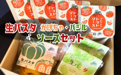 生パスタ&ソースセット バジル・かぼちゃ 生 パスタ 麺 食品 保存 備蓄 生麺 グルメ スパゲティ 本格 小麦 タリアッテレ 国産 めん 麺類