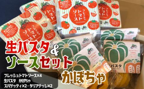 生パスタ&ソースセット かぼちゃ 生 パスタ 麺 食品 保存 備蓄 生麺 グルメ スパゲティ 本格 小麦 タリアッテレ 国産 めん 麺類