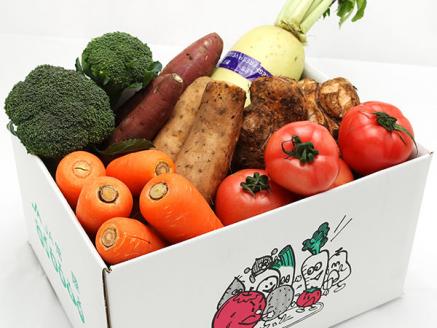 季節の採れたて野菜の詰め合わせ 新鮮野菜 詰め合わせ 那珂市産 茨城県産 国産 旬野菜 セット 新鮮 野菜セット 野菜 野菜BOX 旬 厳選 食材 産地直送 お取り寄せ グルメ 季節 野菜詰合わせ おまかせ