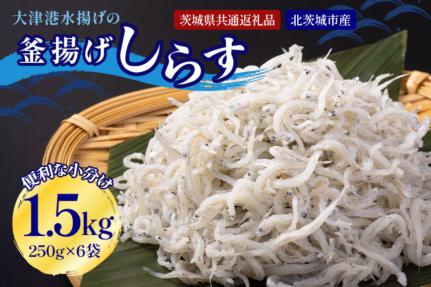 大津港水揚げの釜揚げしらす 1.5kg[500g×3箱]（茨城県共通返礼品・北茨城市産） A78-007